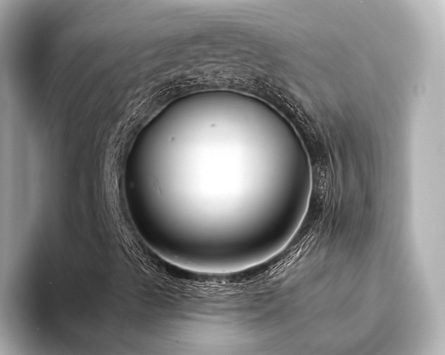 X0000094331489200711021400