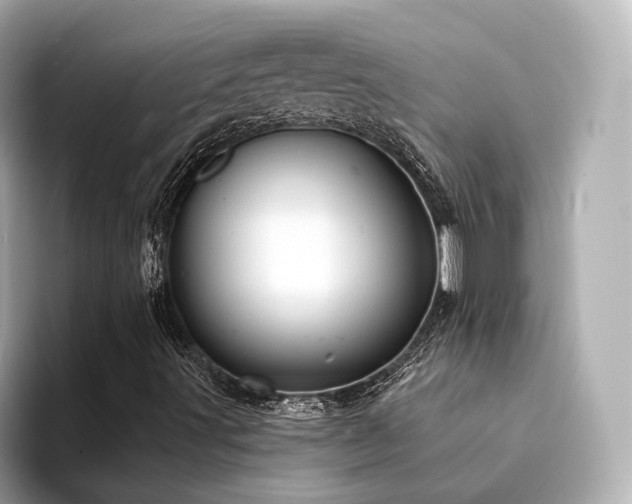 X0000094331491200711021400