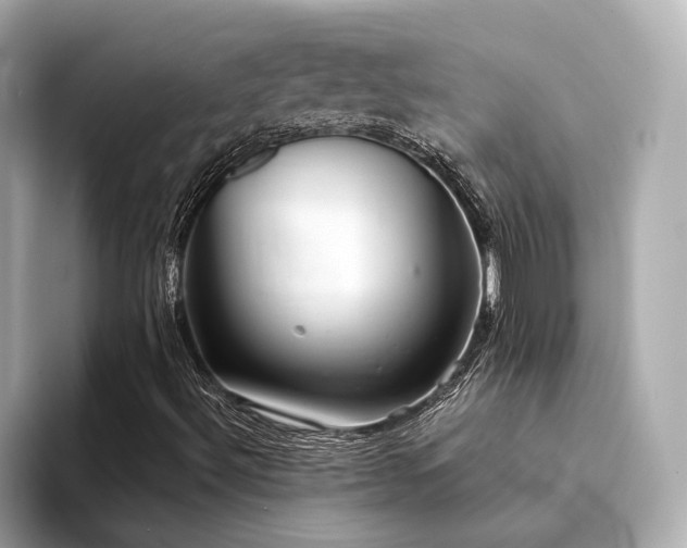 X0000094331492200711021400