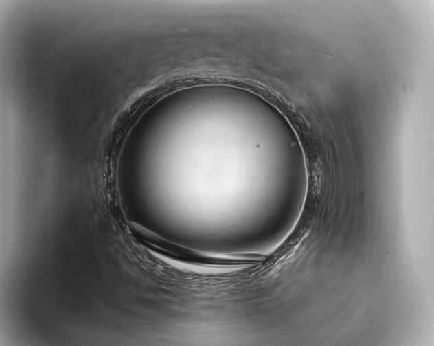 X0000094331494200711021400