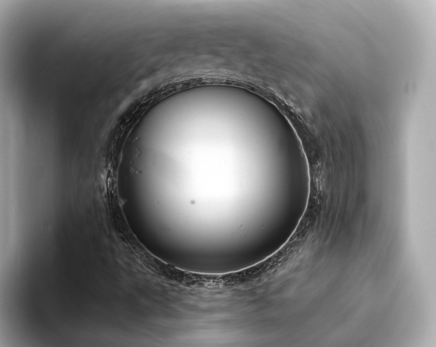 X0000094331495200711021400
