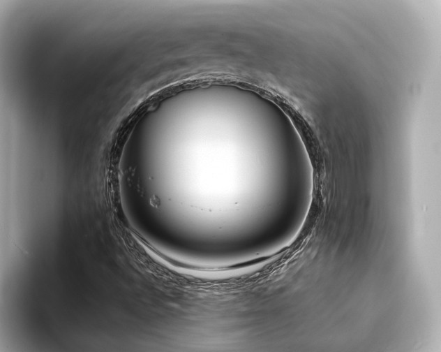 X0000094331496200711021400