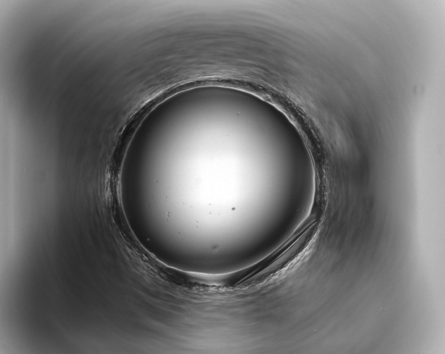 X0000094331497200711021400