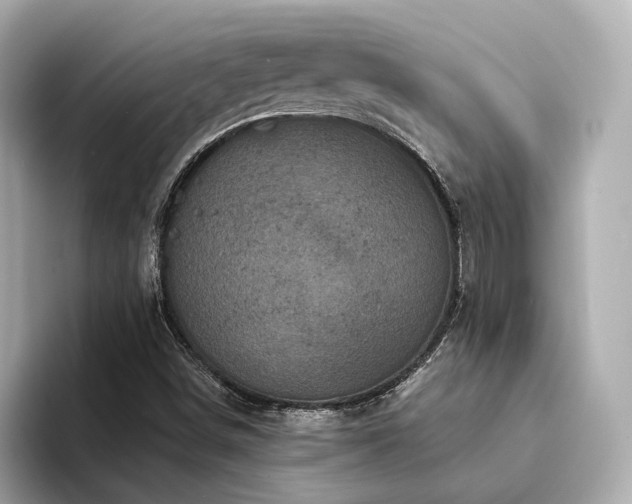 X0000094331498200711021400