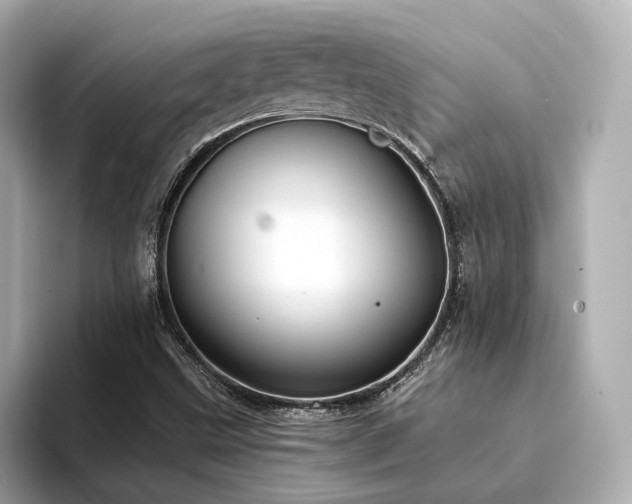X0000094331499200711021400