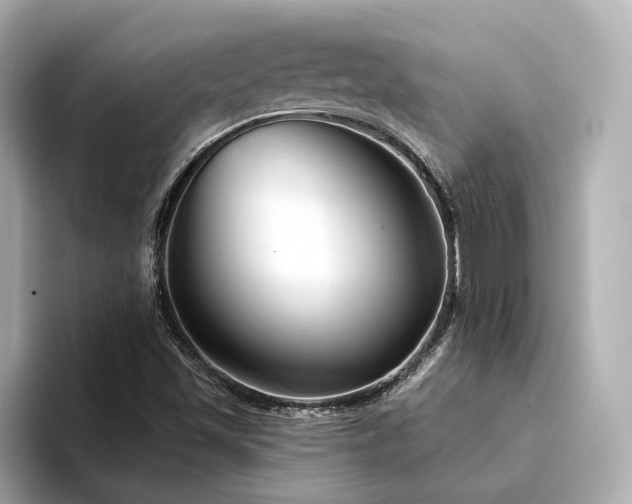X0000094331501200711021400
