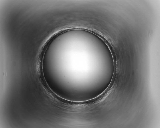 X0000094331502200711021400