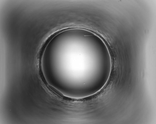 X0000094331503200711021400