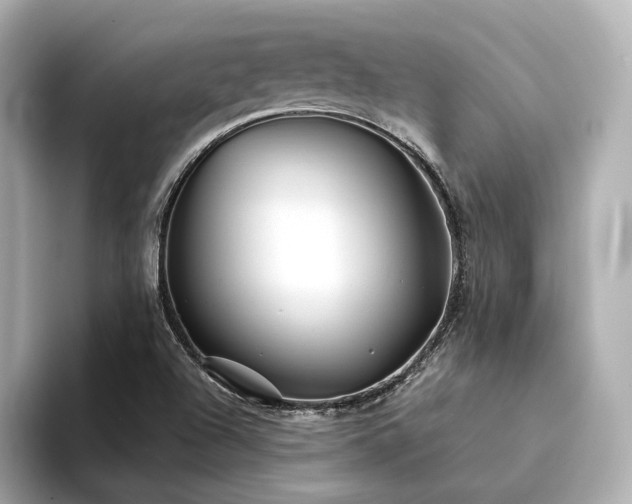 X0000094331504200711021400