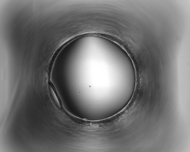 X0000094331505200711021400