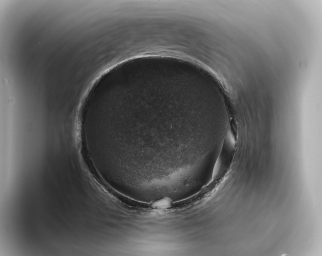 X0000094331506200711021400