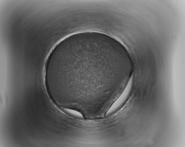 X0000094331508200711021400
