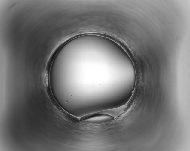 X0000094331509200711021400