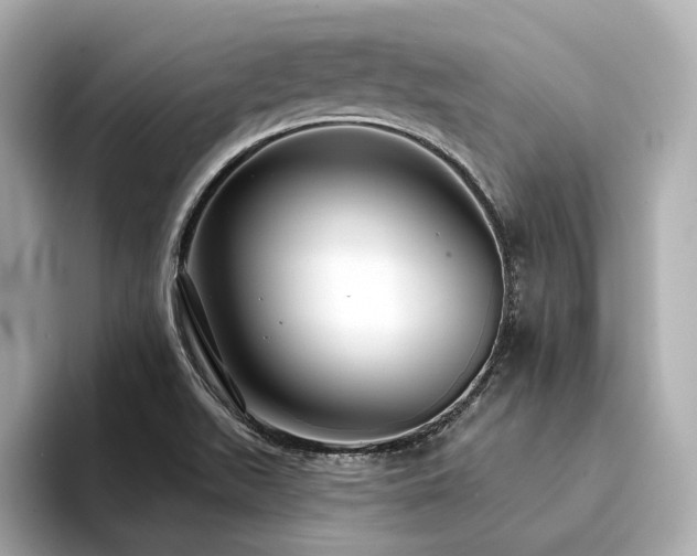 X0000094331511200711021400