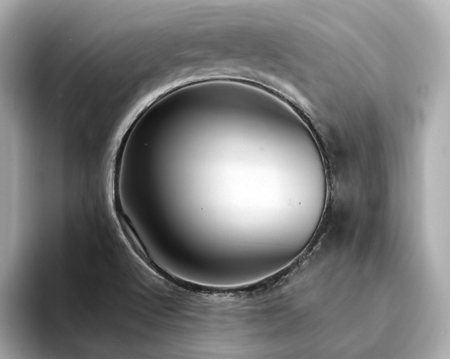 X0000094331512200711021400