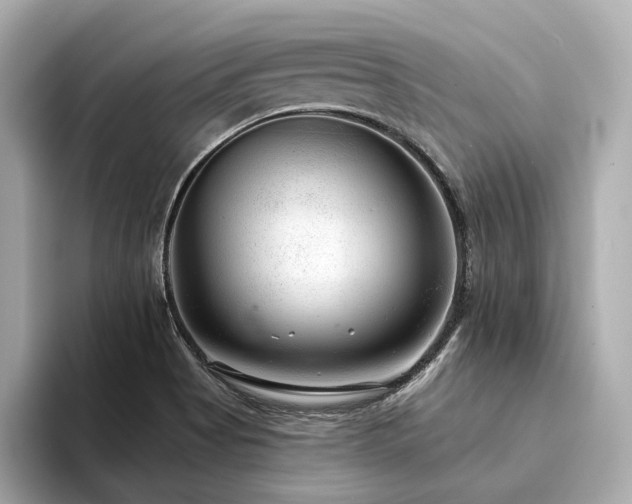 X0000094331513200711021400