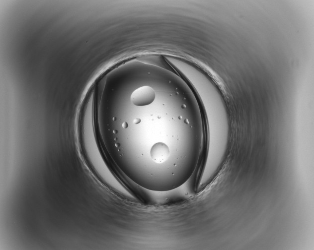 X0000094331514200711021400