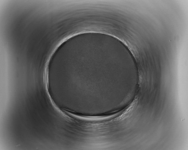 X0000094331515200711021400