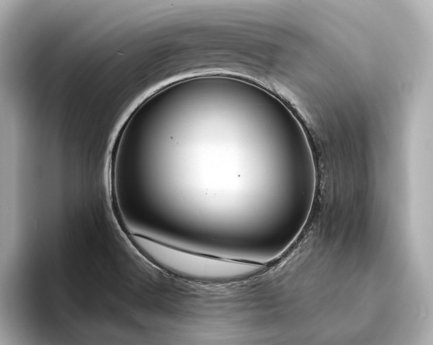 X0000094331516200711021400