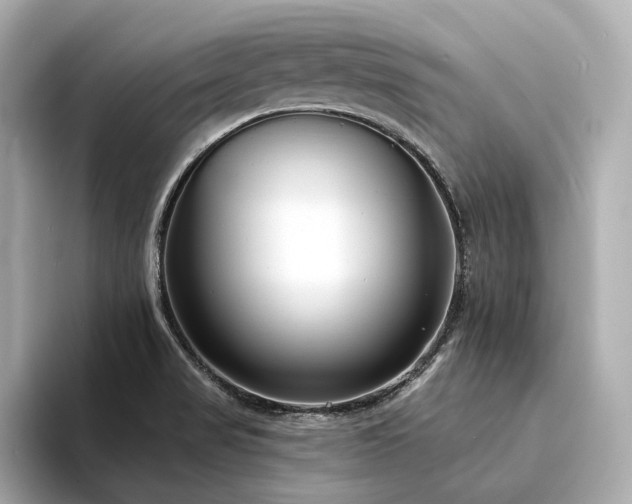 X0000094331517200711021400