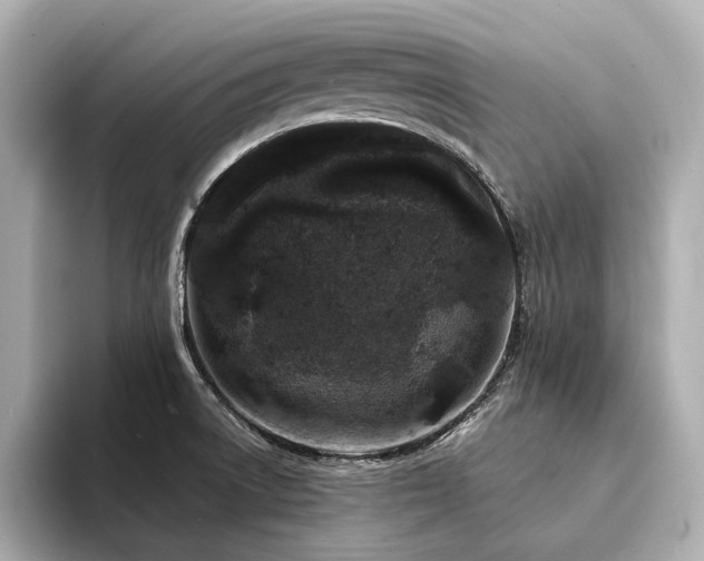 X0000094331522200711021400