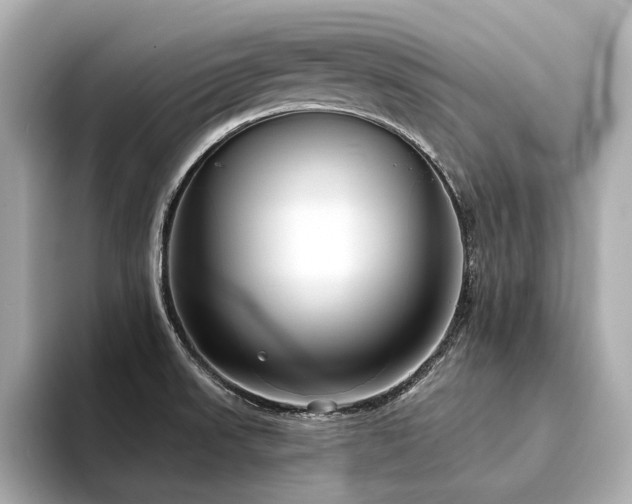 X0000094331523200711021400