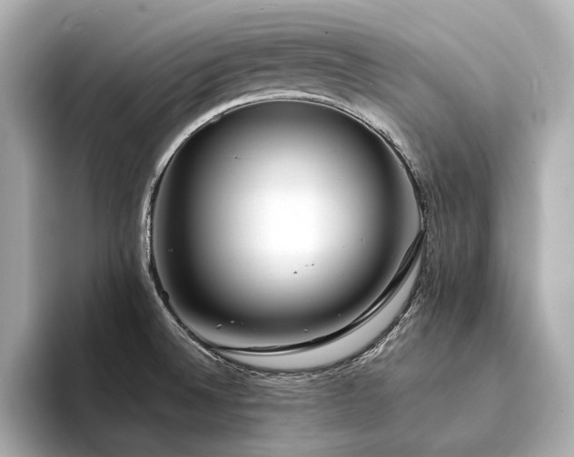 X0000094331524200711021400
