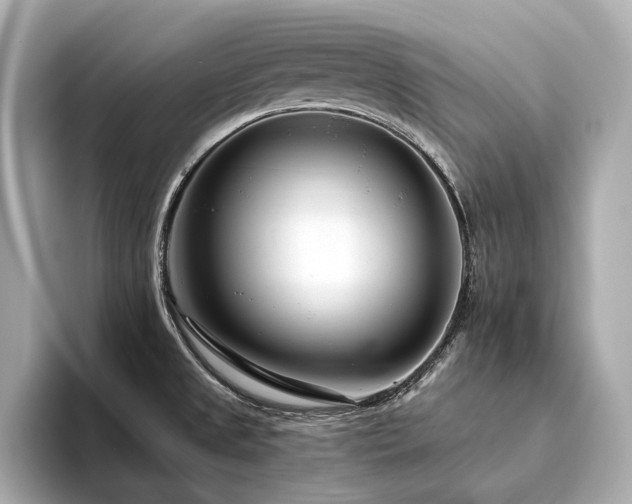 X0000094331525200711021400