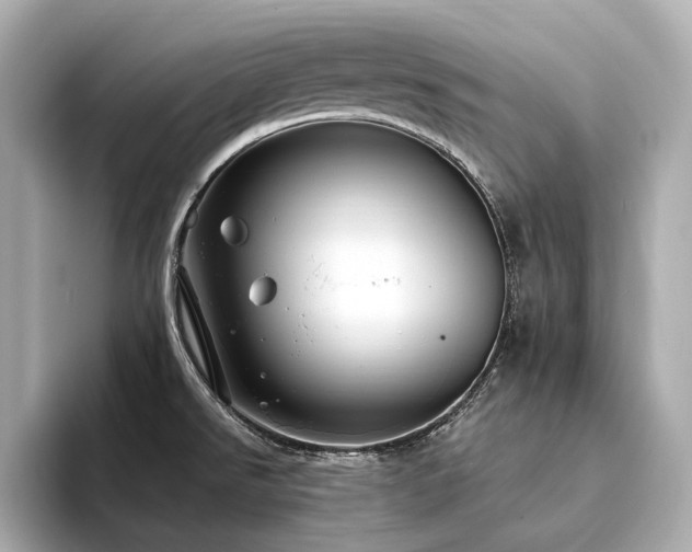 X0000094331526200711021400