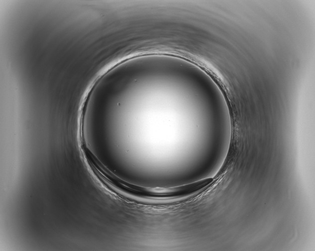 X0000094331528200711021400