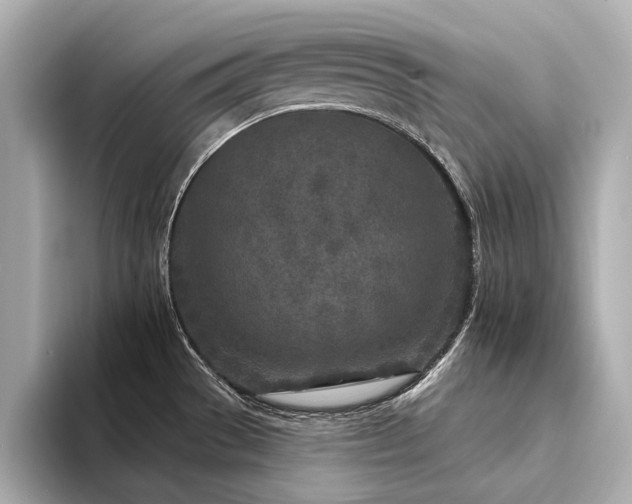 X0000094331529200711021400