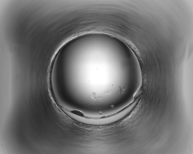 X0000094331530200711021400