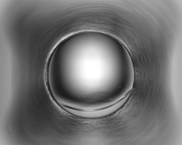 X0000094331531200711021400