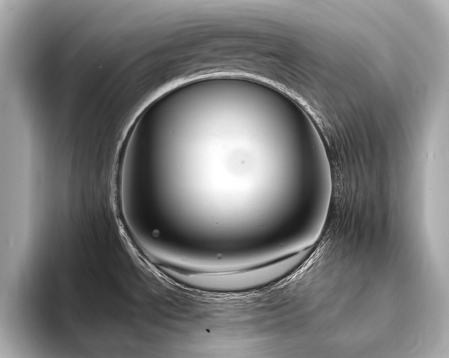 X0000094331534200711021400