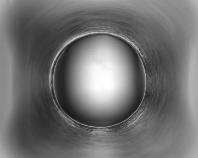 X0000094331535200711021401