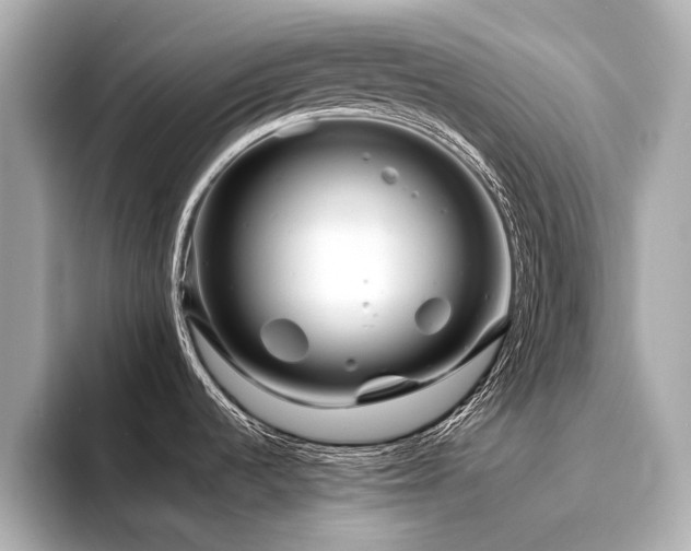 X0000094331536200711021401