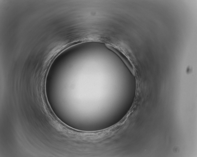 X0000094330001200711091416