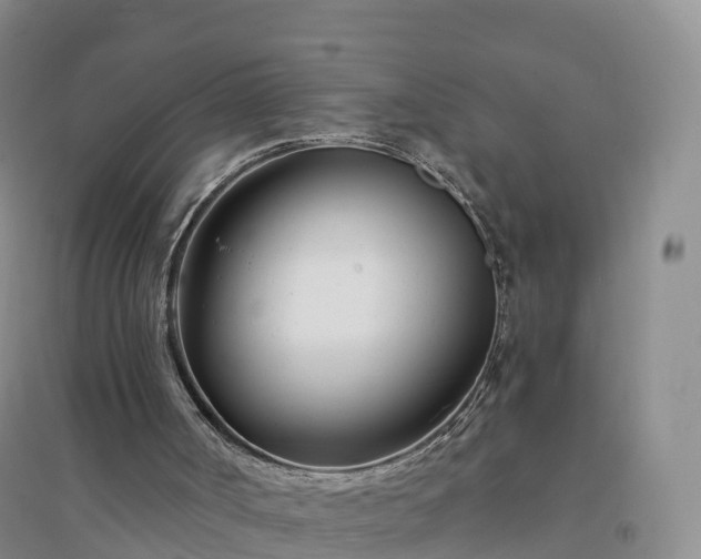 X0000094330002200711091416