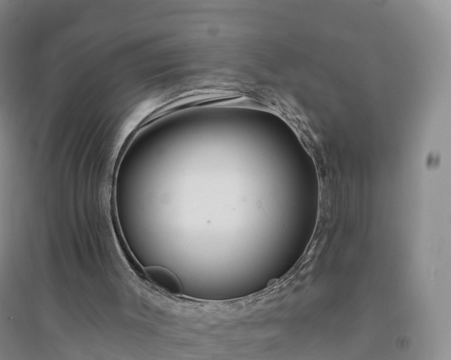 X0000094330003200711091416