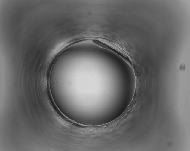 X0000094330005200711091416