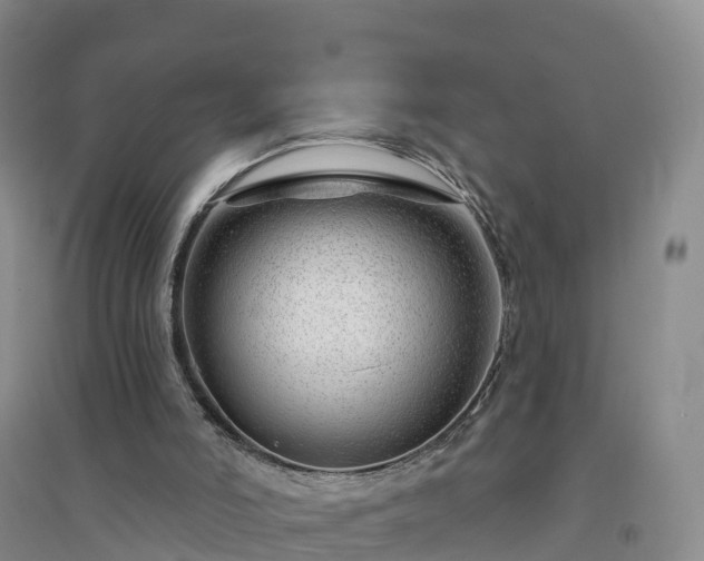 X0000094330006200711091416