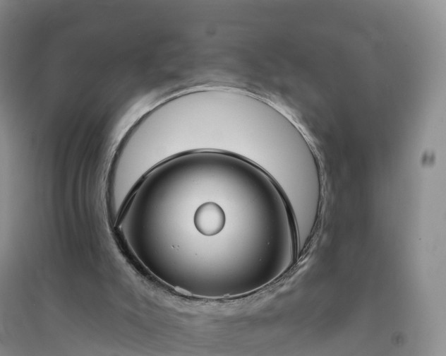 X0000094330007200711091416