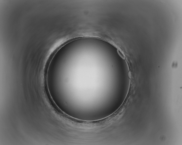 X0000094330008200711091416
