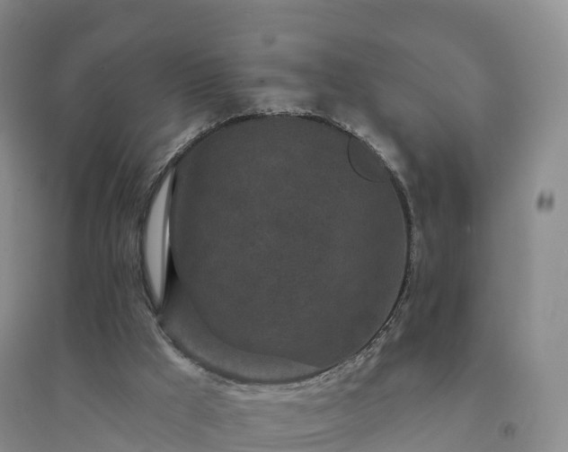 X0000094330009200711091416