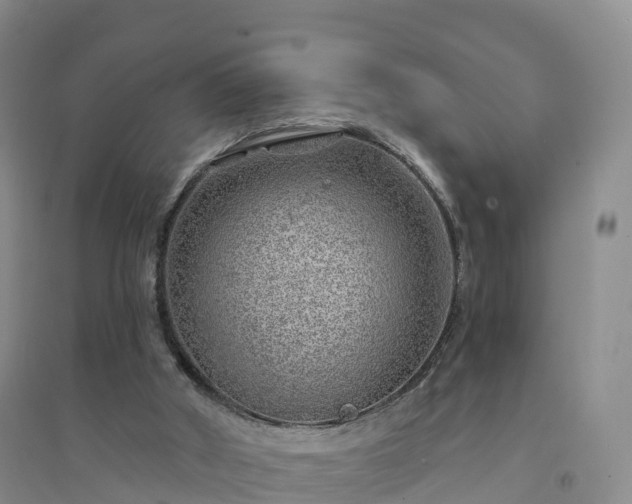 X0000094330010200711091416