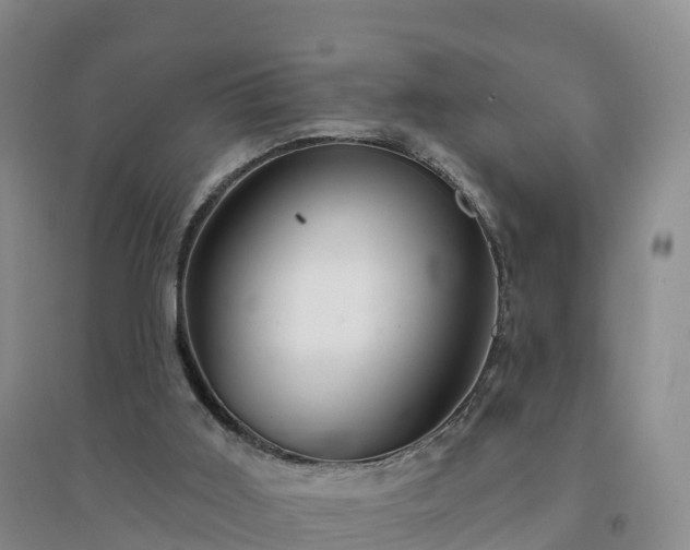 X0000094330011200711091416