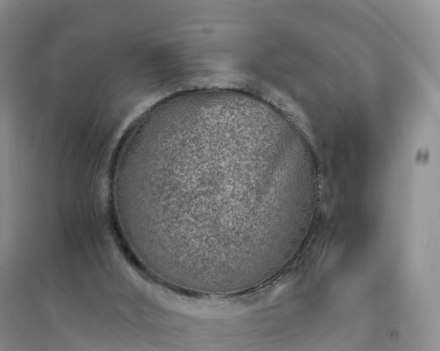 X0000094330012200711091416