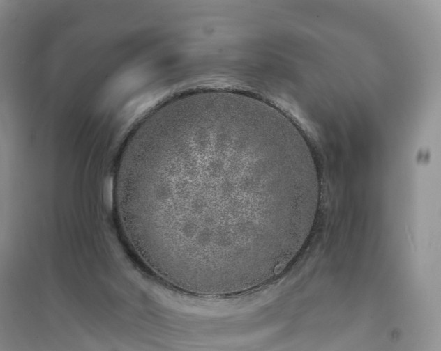 X0000094330014200711091416