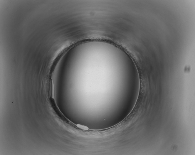 X0000094330015200711091416