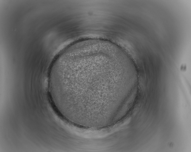 X0000094330016200711091416